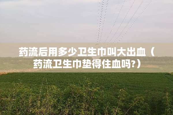 药流后用多少卫生巾叫大出血（药流卫生巾垫得住血吗?）
