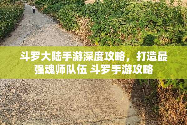 斗罗**手游深度攻略，打造最强魂师队伍 斗罗手游攻略