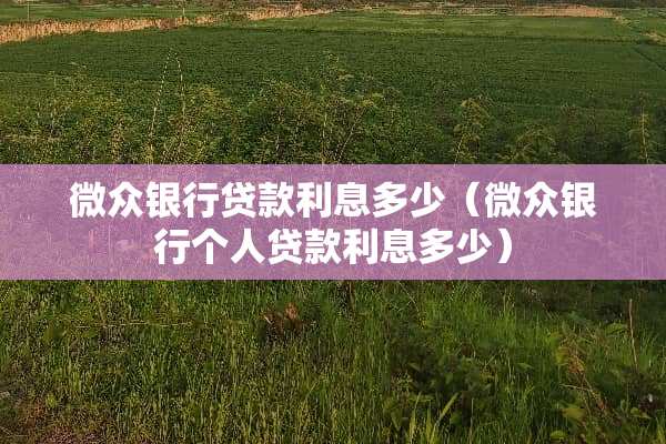 微众银行贷款利息多少（微众银行个人贷款利息多少）