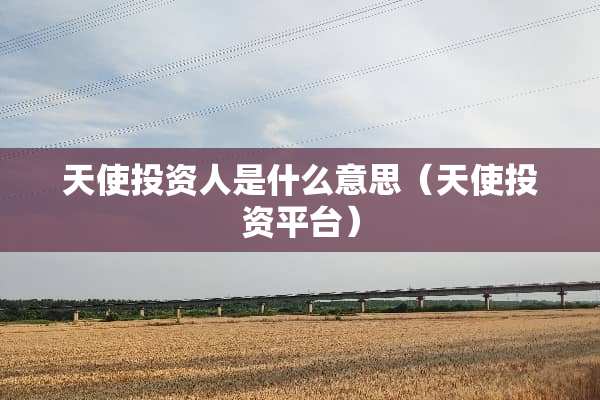 天使投资人是什么意思（天使投资平台）