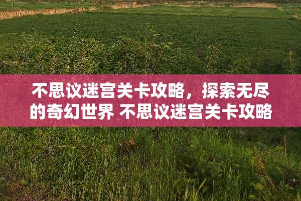 不思议迷宫关卡攻略，探索无尽的奇幻世界 不思议迷宫关卡攻略