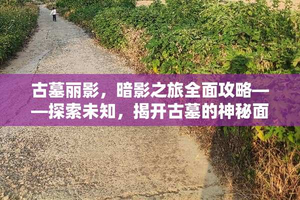 古墓丽影，暗影之旅全面攻略——探索未知，揭开古墓的神秘面纱 古墓丽影外传游戏攻略