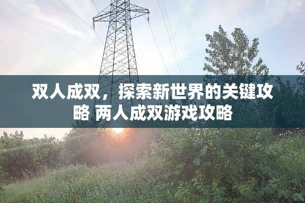 双人成双，探索新世界的关键攻略 两人成双游戏攻略