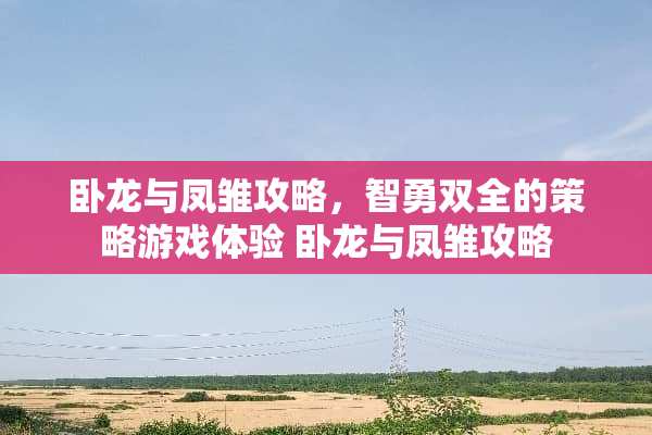 卧龙与凤雏攻略，智勇双全的策略游戏体验 卧龙与凤雏攻略