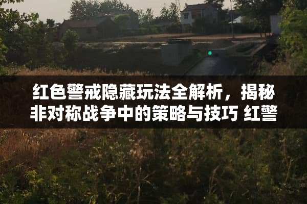 红色警戒隐藏玩法全解析，揭秘非对称战争中的策略与技巧 红警隐藏玩法