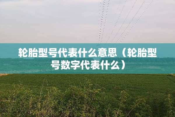 轮胎型号代表什么意思（轮胎型号数字代表什么）