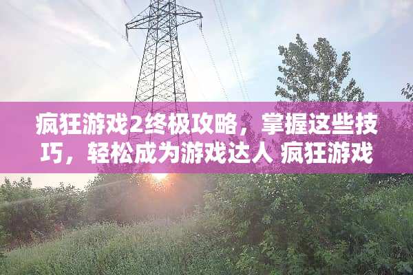 疯狂游戏2终极攻略，掌握这些技巧，轻松成为游戏达人 疯狂游戏2攻略