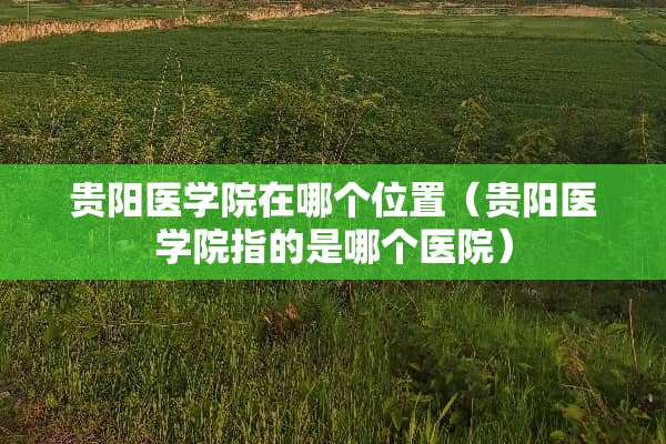 贵阳医学院在哪个位置（贵阳医学院指的是哪个医院）