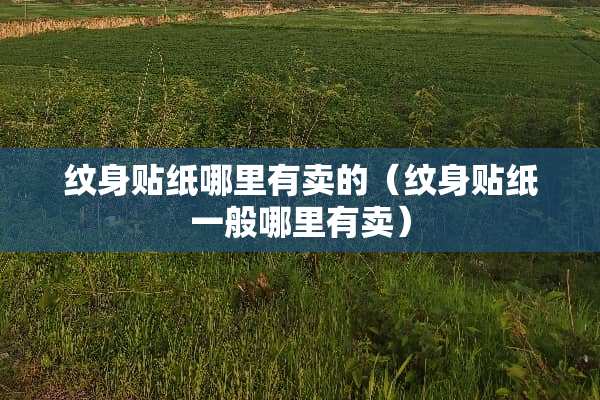 纹身贴纸哪里有卖的（纹身贴纸一般哪里有卖）
