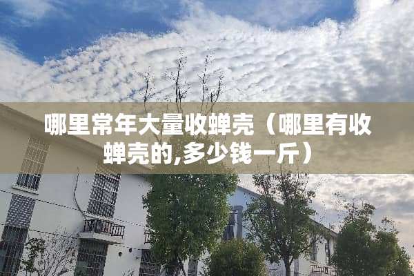 哪里常年大量收蝉壳（哪里有收蝉壳的,多少钱一斤）