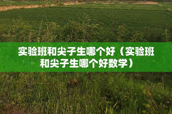 实验班和尖子生哪个好（实验班和尖子生哪个好数学）