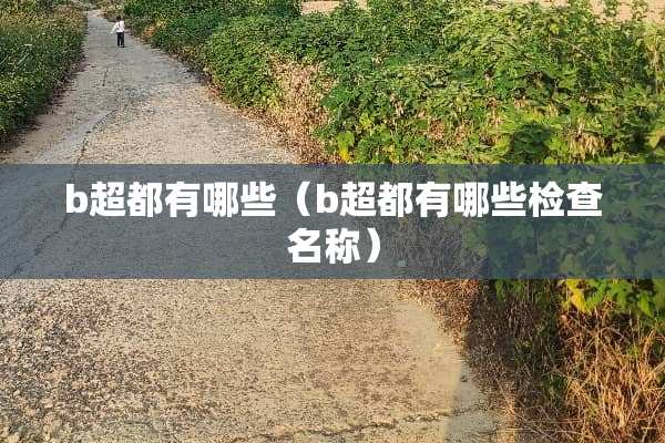 b超都有哪些（b超都有哪些检查名称）