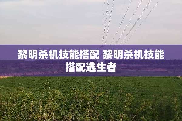 黎明杀机技能搭配 黎明杀机技能搭配逃生者