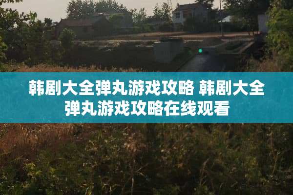 韩剧大全弹丸游戏攻略 韩剧大全弹丸游戏攻略在线观看