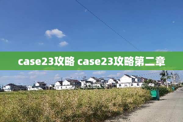case23攻略 case23攻略第二章