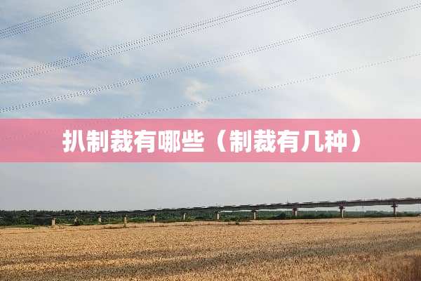 扒制裁有哪些（制裁有几种）