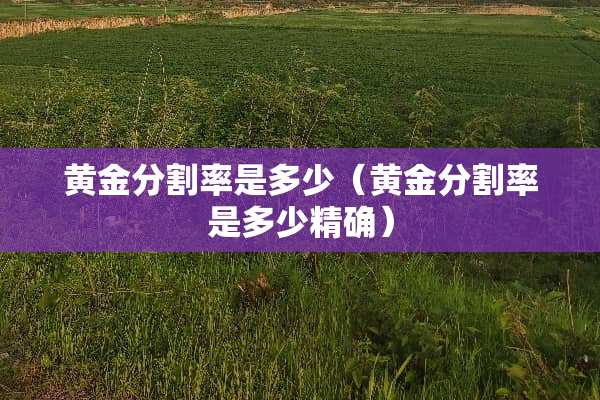 黄金分割率是多少（黄金分割率是多少精确）