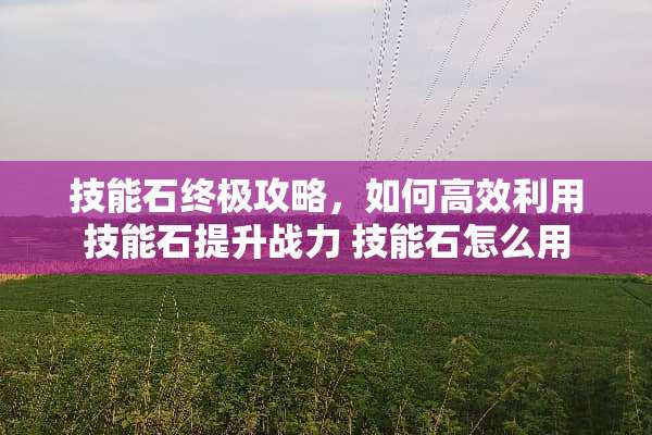 技能石终极攻略，如何高效利用技能石提升战力 技能石怎么用