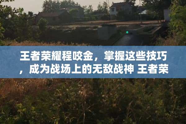 王者荣耀程咬金，掌握这些技巧，成为战场上的无敌战神 王者荣耀程咬金攻略