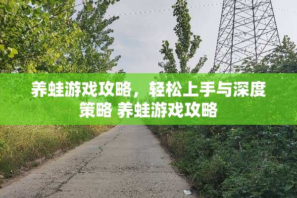 养蛙游戏攻略，轻松上手与深度策略 养蛙游戏攻略