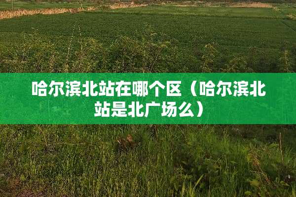 哈尔滨北站在哪个区（哈尔滨北站是北广场么）