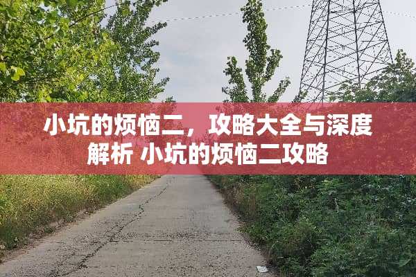 小坑的烦恼二，攻略大全与深度解析 小坑的烦恼二攻略