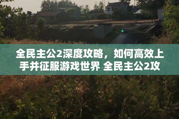 全**公2深度攻略，如何高效上手并征服游戏世界 全**公2攻略
