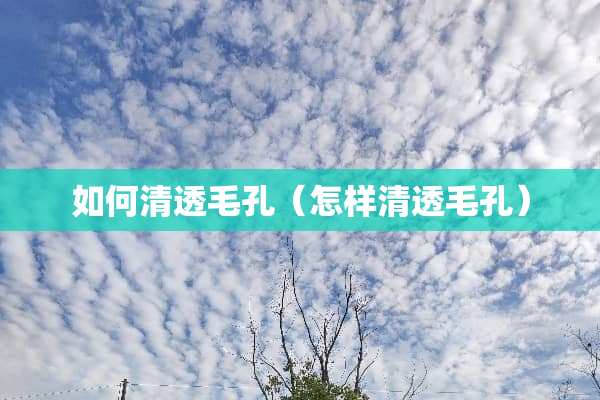 如何清透毛孔（怎样清透毛孔）