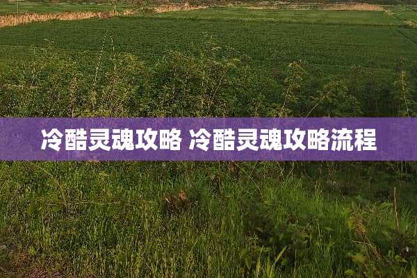 冷酷灵魂攻略 冷酷灵魂攻略流程
