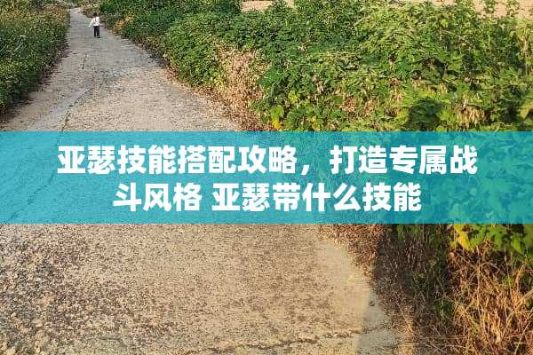 亚瑟技能搭配攻略，打造专属战斗风格 亚瑟带什么技能