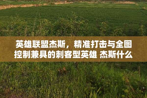 英雄联盟杰斯，精准打击与全图控制兼具的刺客型英雄 杰斯什么技能