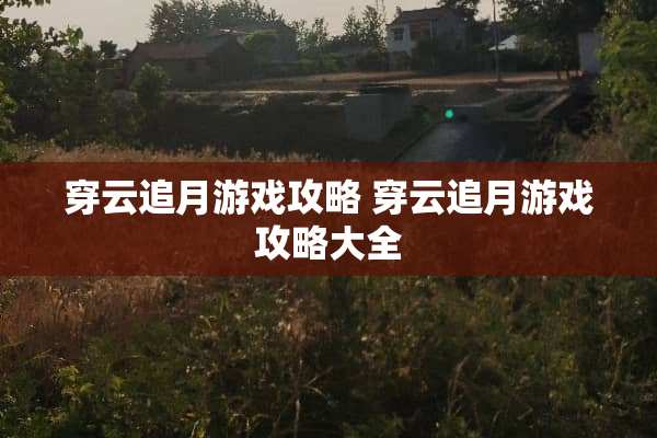 穿云**游戏攻略 穿云**游戏攻略大全