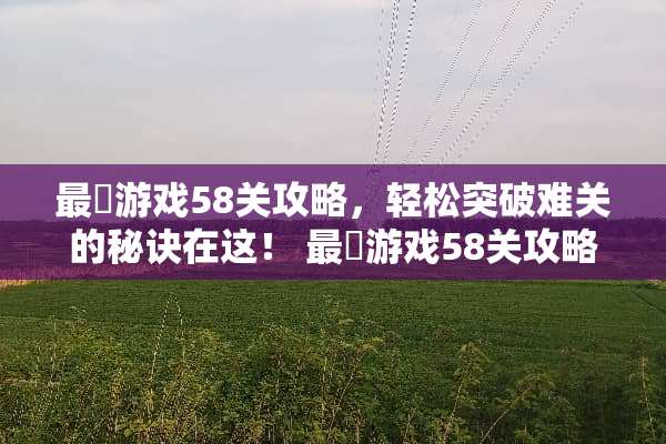 最囧游戏58关攻略，轻松突破难关的秘诀在这！ 最囧游戏58关攻略