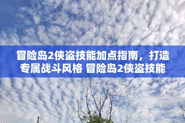 冒险岛2侠盗技能加点指南，打造专属战斗风格 冒险岛2侠盗技能加点