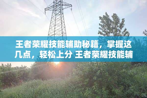 王者荣耀技能辅助秘籍，掌握这几点，轻松上分 王者荣耀技能辅助