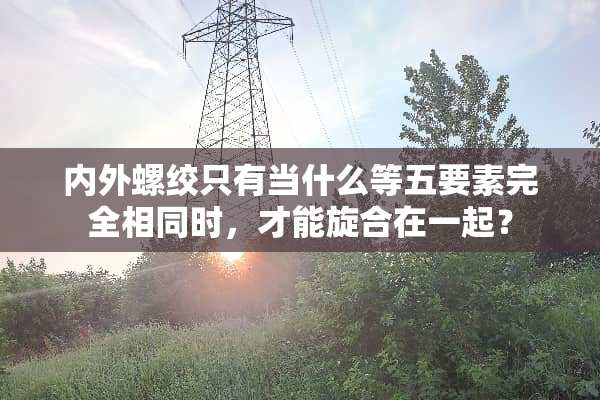 内外螺绞只有当什么等五要素完全相同时，才能旋合在一起？