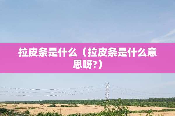 拉皮条是什么（拉皮条是什么意思呀?）