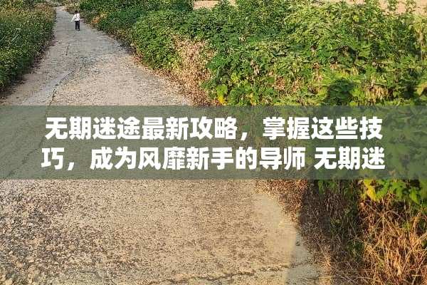无期迷途最新攻略，掌握这些技巧，成为风靡新手的导师 无期迷途游戏最新攻略