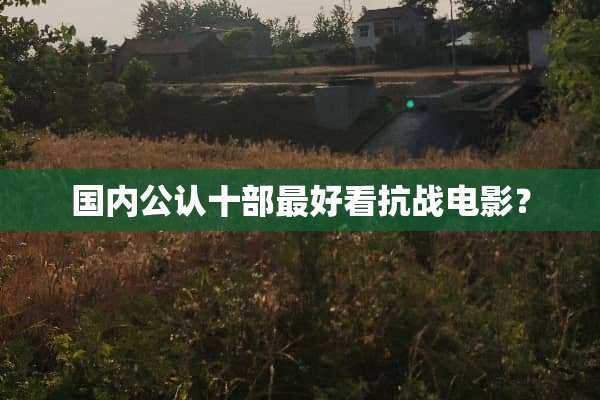 国内公认十部最好看抗战电影？