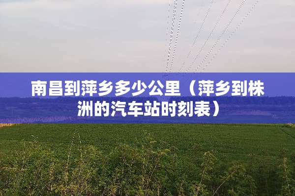 南昌到萍乡多少公里（萍乡到株洲的汽车站时刻表）