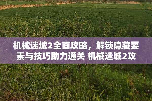 机械迷城2全面攻略，解锁隐藏要素与技巧助力通关 机械迷城2攻略