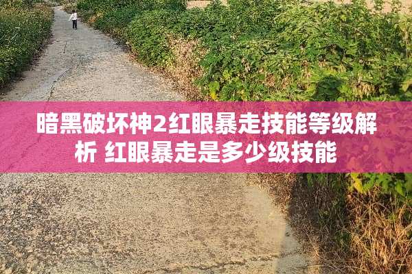 暗黑破坏神2红眼暴走技能等级解析 红眼暴走是多少级技能