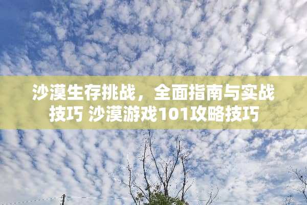 沙漠生存挑战，全面指南与实战技巧 沙漠游戏101攻略技巧