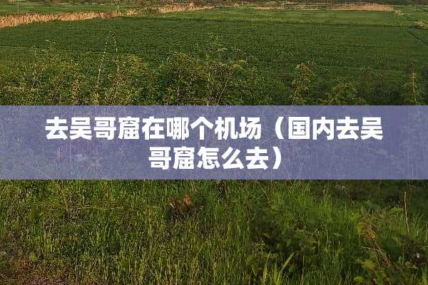 去吴哥窟在哪个机场（国内去吴哥窟怎么去）
