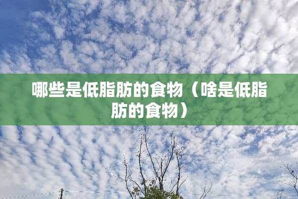 哪些是低脂肪的食物（啥是低脂肪的食物）