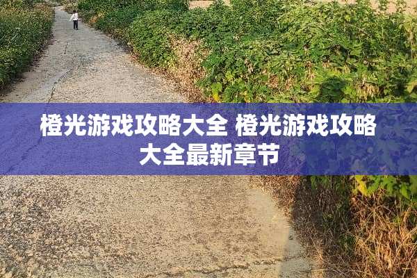 橙光游戏攻略大全 橙光游戏攻略大全最新章节