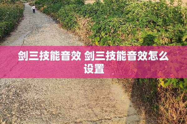 剑三技能音效 剑三技能音效怎么设置
