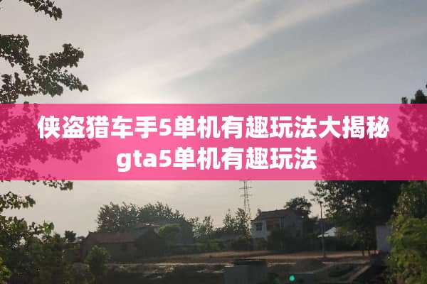 侠盗猎车手5单机有趣玩法大揭秘 gta5单机有趣玩法