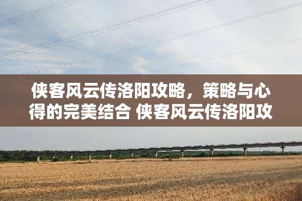 侠客风云传洛阳攻略，策略与心得的完美结合 侠客风云传洛阳攻略