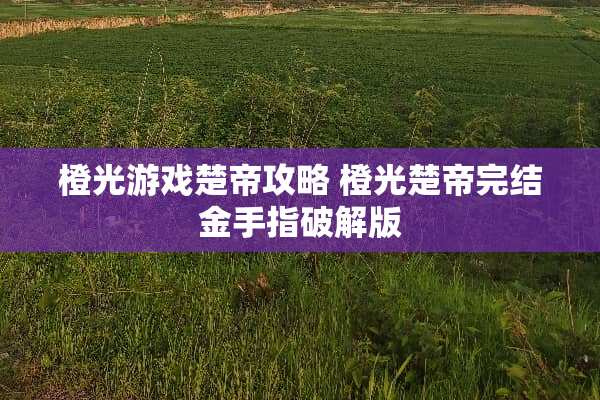 橙光游戏楚帝攻略 橙光楚帝完结金手指**版